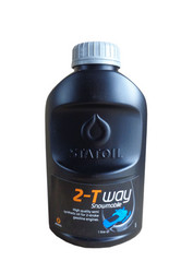 ������ �������� ����� Statoil 2-T Way Snowmobile (1�),  � ��������-�������� � �������������