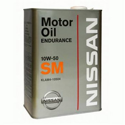 ������ �������� ����� Nissan GTR Endurance SM,  � ��������-�������� � �������������